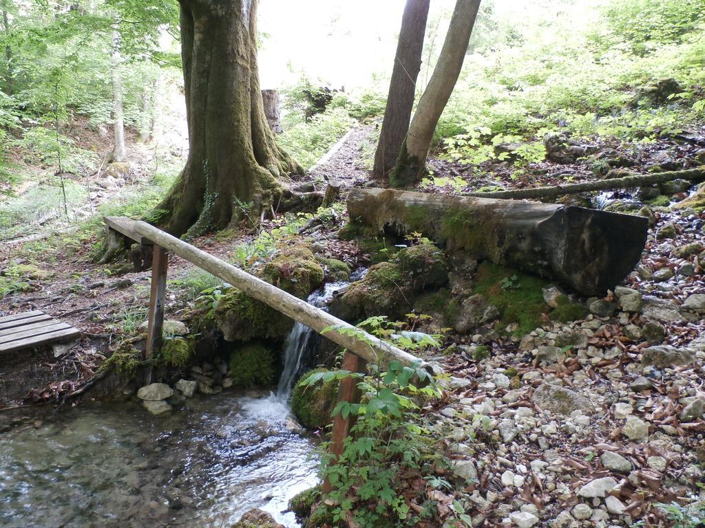 Kraeuterhof Miesrigl Villa Losenstein Exteriör bild