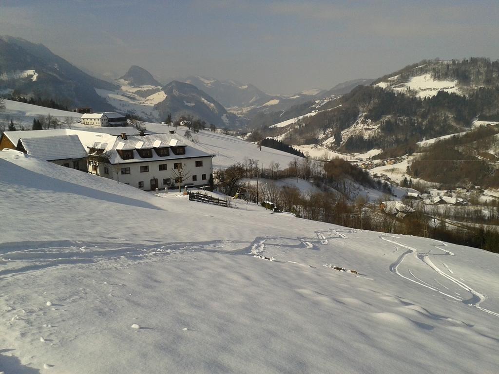 Kraeuterhof Miesrigl Villa Losenstein Exteriör bild