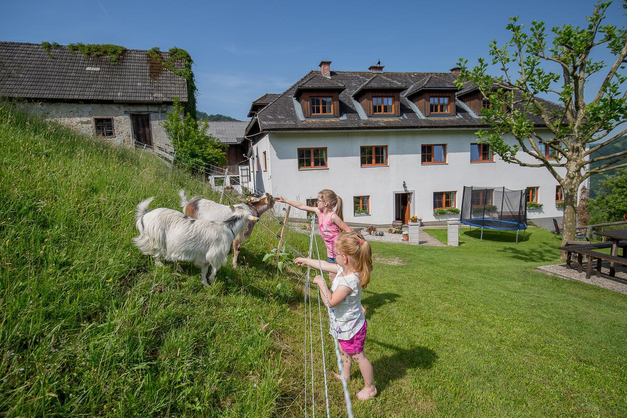 Kraeuterhof Miesrigl Villa Losenstein Exteriör bild